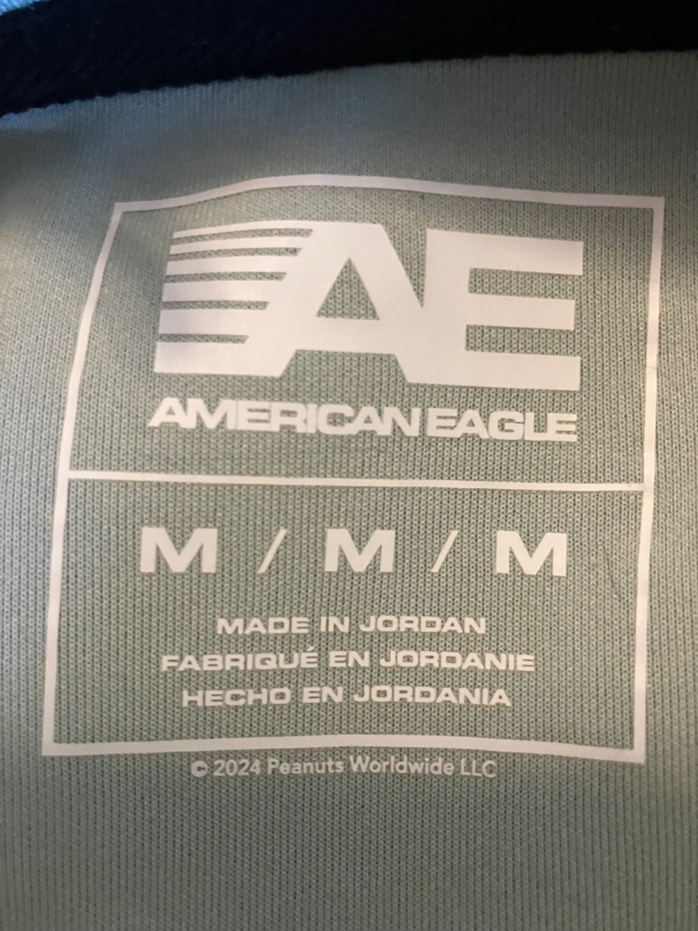 American Eagle Snoopy Hoodie in Olive Green - Picture 3 of 4